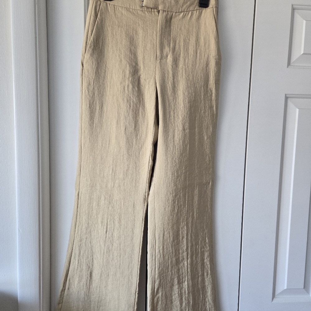 Zara ZW Collection Golden Pant